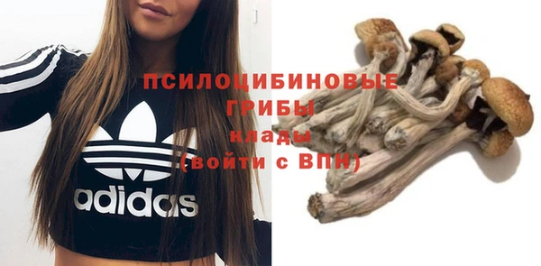 mix Вяземский